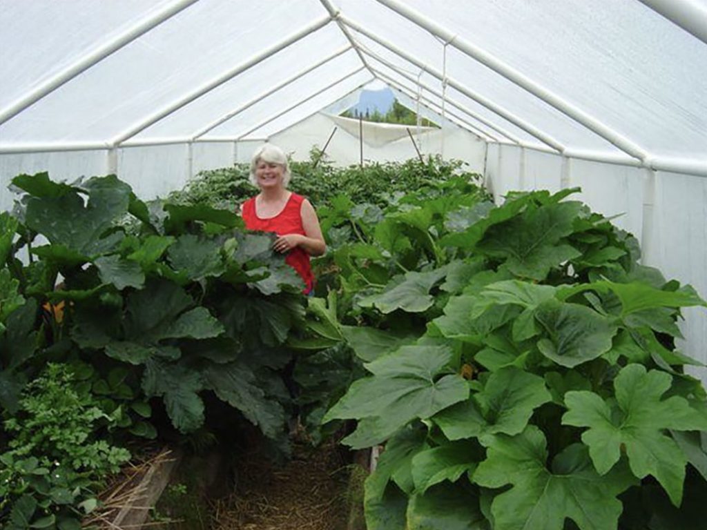 Greenhouse